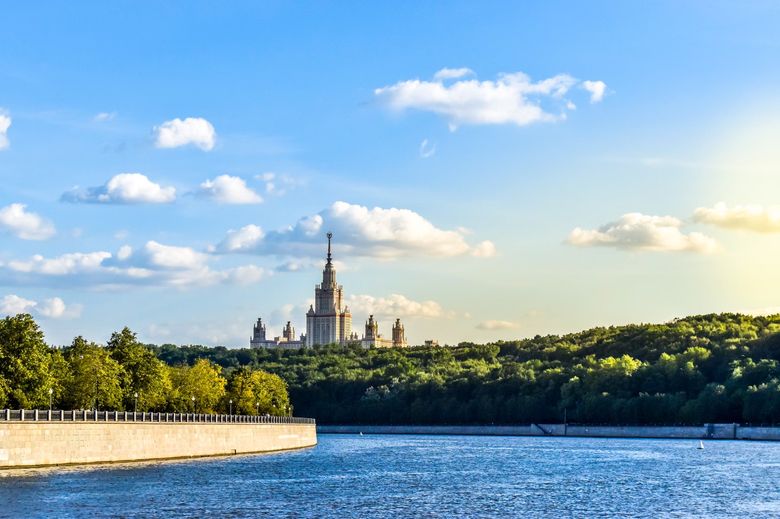 Влияет ли выбор канализации на ландшафтный дизайн участка?