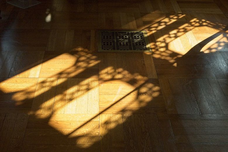 Тик: влагостойкий гигант, но требует ухода